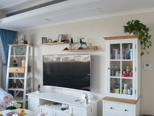 客厅用硅藻泥做电视背景墙怎么样，好吗？